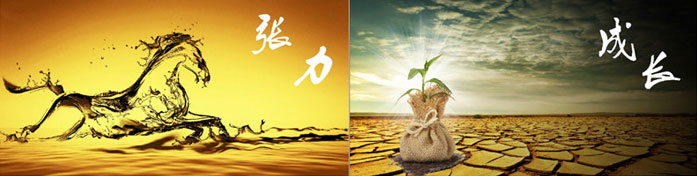 企業(yè)發(fā)展要學(xué)會取他人之長、補(bǔ)自己之短